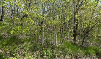 44 Fox Paw Ln, Banner Elk, NC 28604