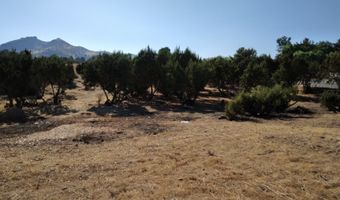 0 Agua Dulce Cyn, Agua Dulce, CA 91350