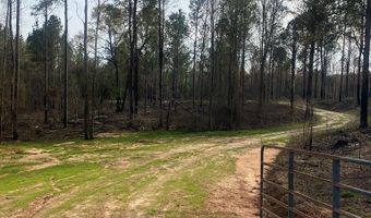 03 County Road 6650, Banks, AL 36005