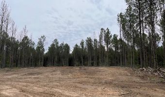 19 43 Big Rocks Rd, Antlers, OK 74523