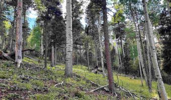 Lot 1283 Via del Rey, Angel Fire, NM 87710