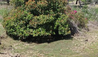 17705 Coyote Ln, Anderson, CA 96007