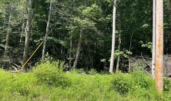 3 Clear Fork Creek Rd 31, Bastian, VA 24314