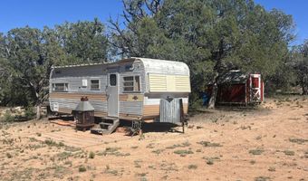 5 Deer Droppings, Ash Fork, AZ 86320