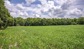 0 Straight Bayou Rd, Anguilla, MS 38721
