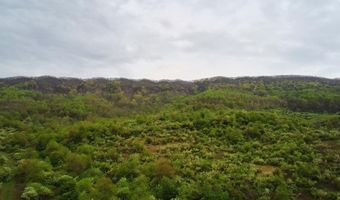 Tbd Clear Fork Creek Road, Bastian, VA 24314
