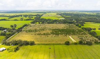 SW CARLTON Avenue, Arcadia, FL 34266