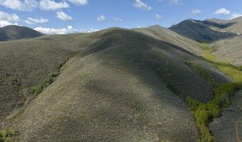 Lees Gulch Rd, Bellevue, ID 83313