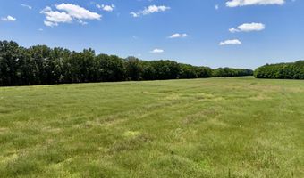 0005 Johnson Line Rd, Bolton, MS 39041