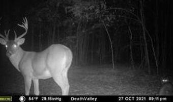 000 Hwy 105, Atkins, AR 72823
