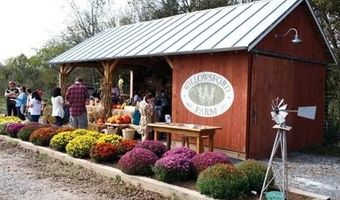 25970 LIQUIDAMBAR Ln, Aldie, VA 20105