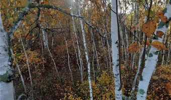 31538 County 23, Akeley, MN 56433