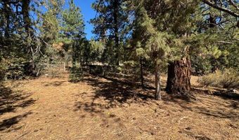 Whitetail Lane lot 12, Bonanza, OR 97623