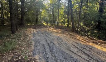 Michael Drive, Alger, MI 48610