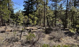 Horned Owl Way 385461, Bonanza, OR 97623