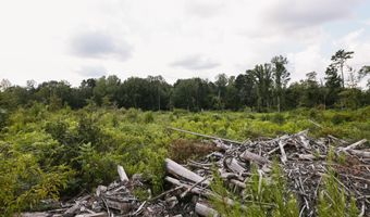 2778 SW Big Creek Dr, Bogue Chitto, MS 39629