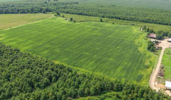 Dummyline Road, Batesville, MS 38606