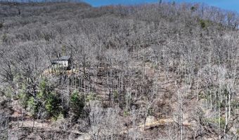 11 Taryn Trce 16, Barnardsville, NC 28709