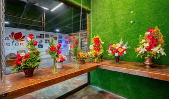 703 E WESTERN Ave, Avondale, AZ 85323