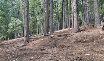 5175 Hokan Cir, Camp Connell, CA 95223