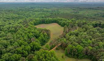 350 Hershell Henry Rd, Bankston, AL 35542