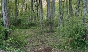 1089 Damascus, Ball Ground, GA 30107