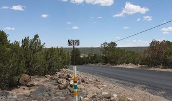 N8190, Concho, AZ 85924