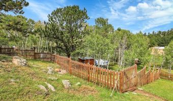 331 Bluebird Ln, Bailey, CO 80421