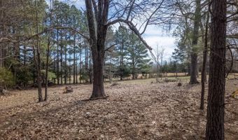 838 Indian Trl, Ash Flat, AR 72513