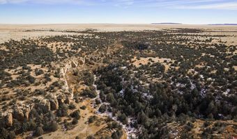 000 County Road 40.2 Poitry Canyon Ranch, Branson, CO 81027