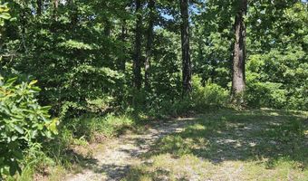 13343 County Road 76-103, Ava, MO 65608