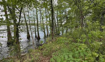 Tract 1 East Bay Road, Atkins, AR 72823
