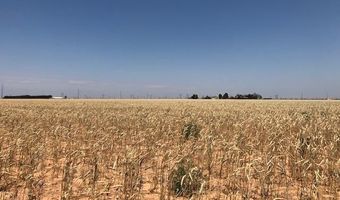 FM 2060, Abernathy, TX 79311