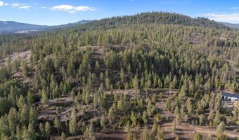 NKA Healing Dr. Lot 2 and Lot 3, Blanchard, ID 83804