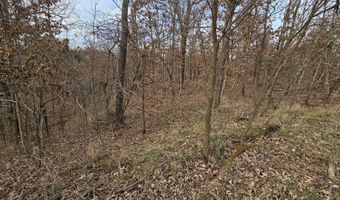 65 Acres Plainview Rd, Anderson, MO 64831