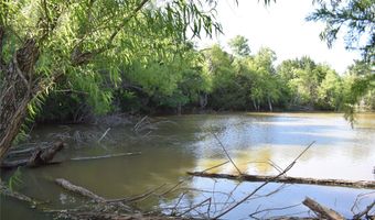 Pine Street, Alvord, TX 76225