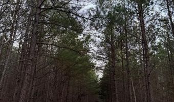 0- Lot 7 Piney Mountain Rd, Appomattox, VA 24522