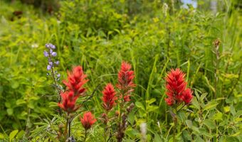 750 Black Bear Rd, Bozeman, MT 59718