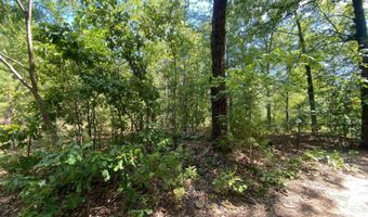 0 County Road 4507, De Kalb, TX 75559