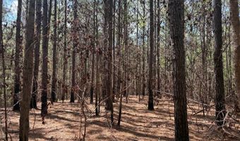 274 CR 3301, Booneville, MS 38829