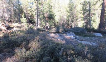 175 Silver Tip Dr, Bear Valley, CA 95223