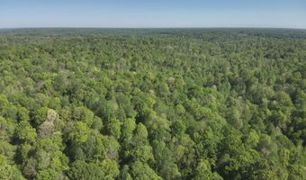 Anding Oil City Road, Bentonia, MS 39040
