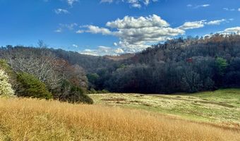 1520 Brittontown Rd, Afton, TN 37616