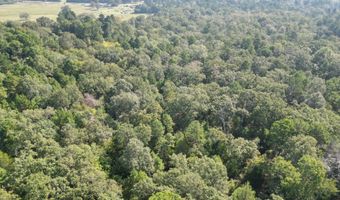 7 N Hall Rd, Antlers, OK 74523