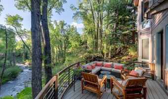 115 Neale Ave, Aspen, CO 81611