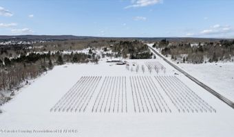 8370 Lakeview Rd, Alanson, MI 49706