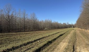6075 Curtis Rd, Batesville, MS 38606