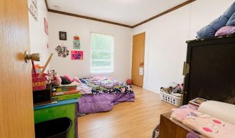 145 Rogers Ln, Birchwood, TN 37308