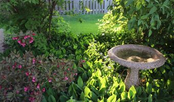 1900 Waverly Ln, Algonquin, IL 60102