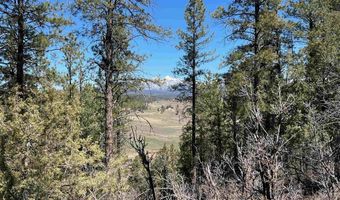 X County Rd 200, Pagosa Springs, CO 81147